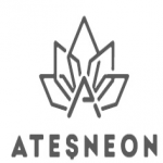 Ateş Neon Reklamcılık Dış Tic. Ltd. Şti. logo